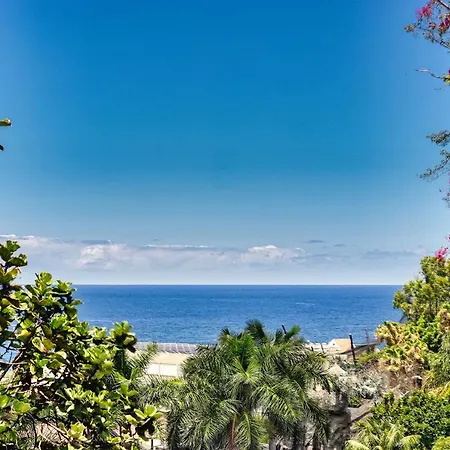 Modern With Elevator, Patio Kitchen, Loro Parque View & Heated Pool Appartement